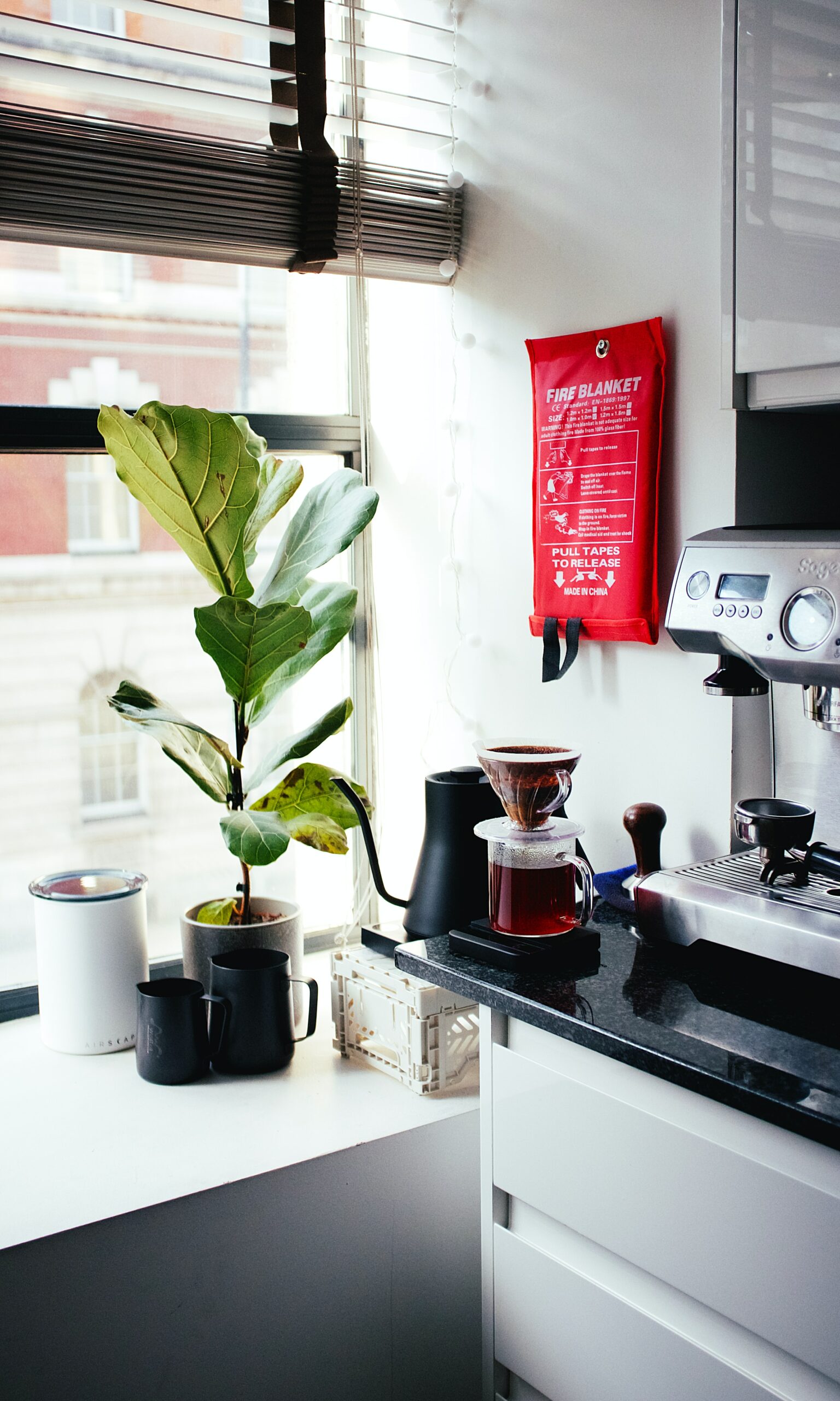 Image of a small corner of a kitchen with a pour over, machiatto coffee maker, and an elephant ear plant near the window.