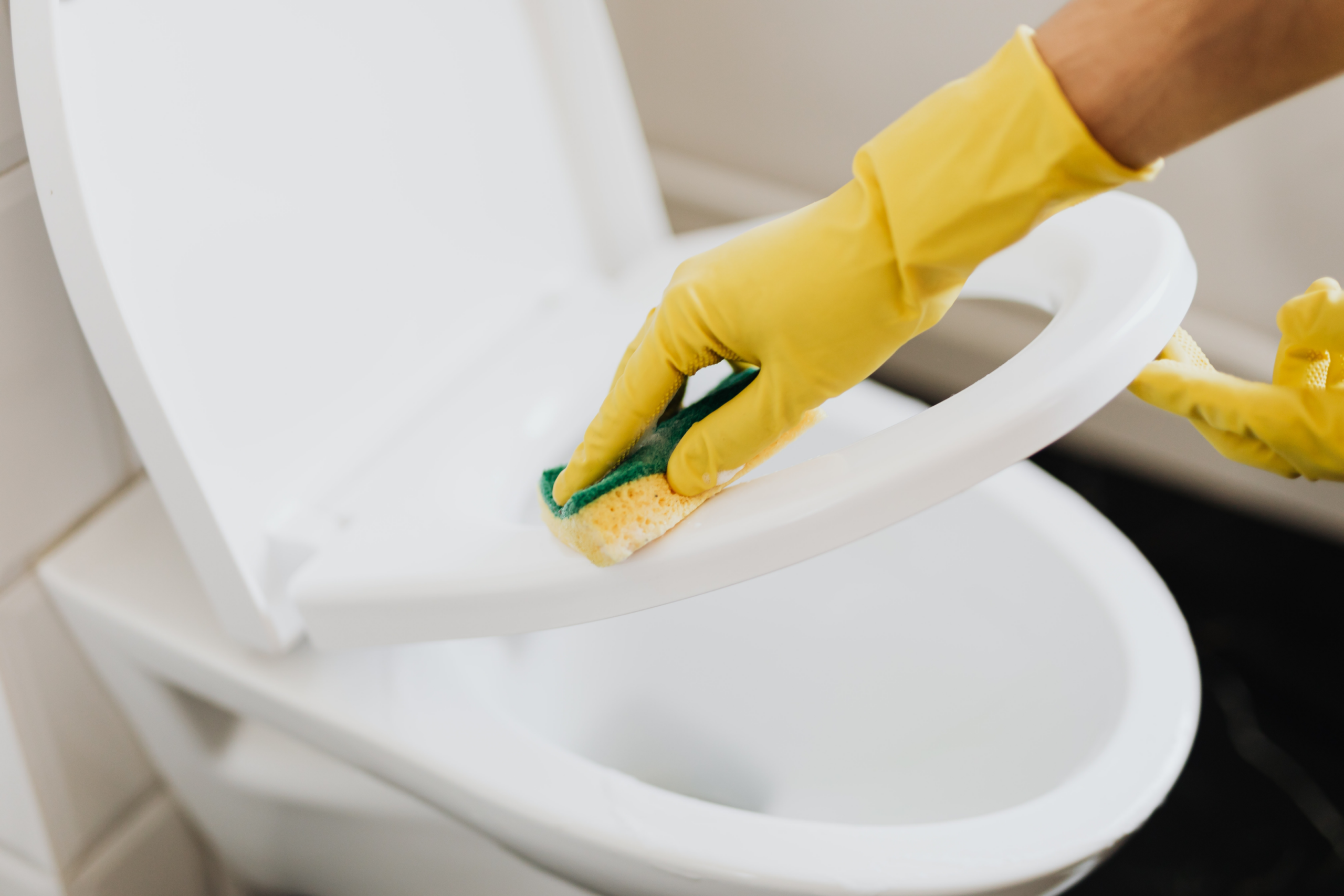 Image of cleaning the toilet with a sponge